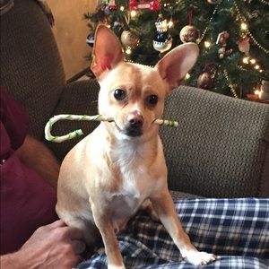 Meet your Posher, Katrina